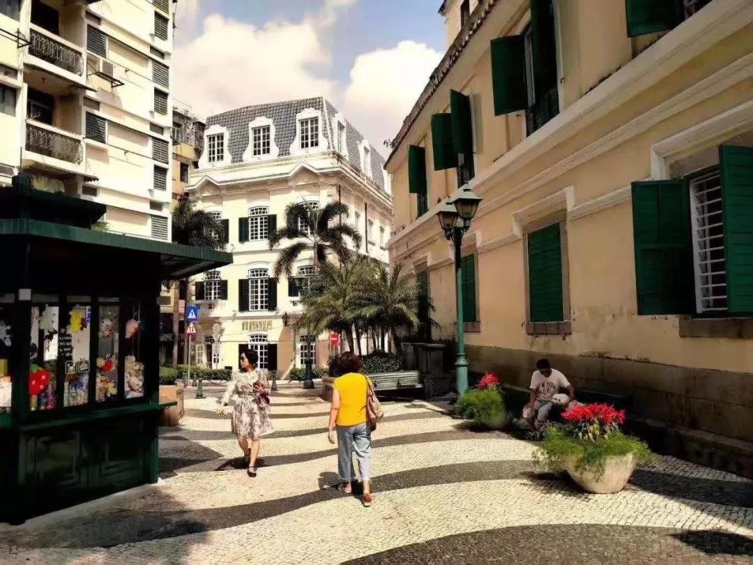 澳門二肖，探索與揭秘，澳門二肖，探索之旅與神秘揭秘