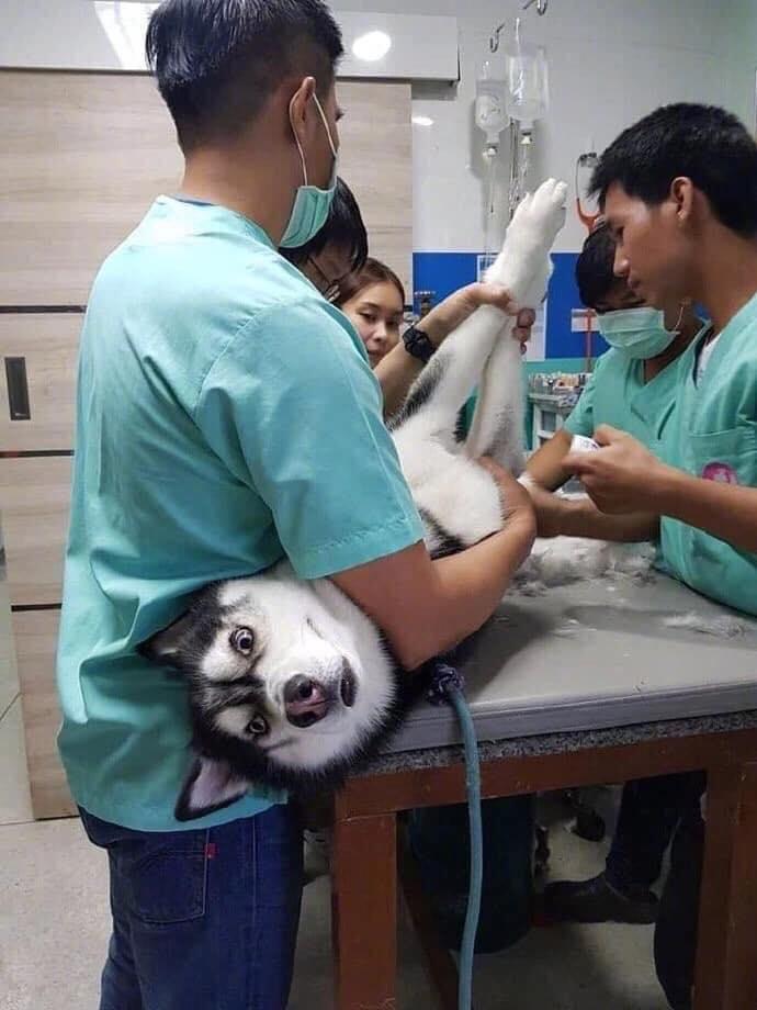 為什么不建議女性進行結扎手術？全面解析風險與利弊，關于女性結扎手術的風險與利弊的全面解析，為何需謹慎選擇？