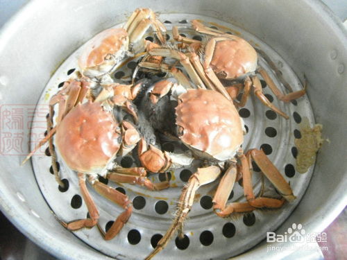 探索海鮮美味，正確的蒸螃蟹方法，探索海鮮美味之旅，正確蒸螃蟹的方法分享