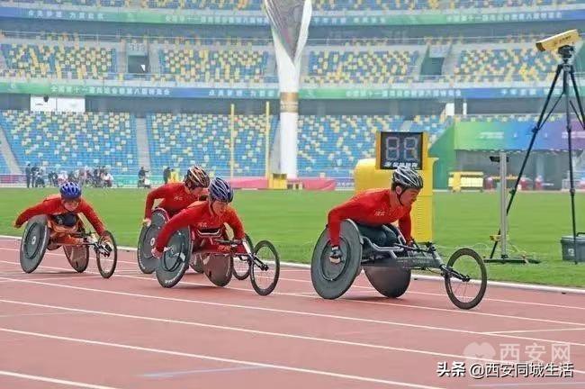 澳門精準(zhǔn)預(yù)測(cè)與免費(fèi)大全，探索未來(lái)的新澳門（2025展望），澳門未來(lái)展望，精準(zhǔn)預(yù)測(cè)與免費(fèi)大全（2025年展望）