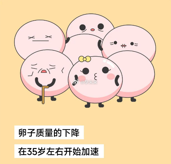 女性卵子質(zhì)量差的表現(xiàn)及其影響，女性卵子質(zhì)量差的表現(xiàn)及其后果