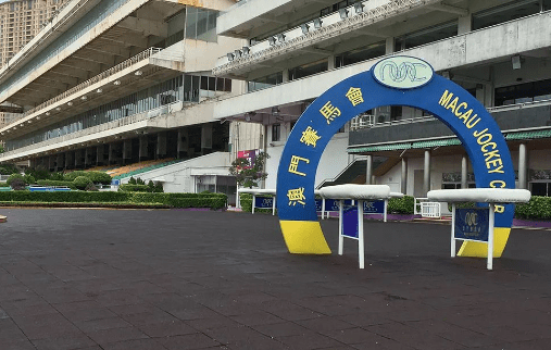 新澳門一肖一馬一特一中，探索與解析，澳門新玩法探索與解析，一肖一馬一特一中揭秘