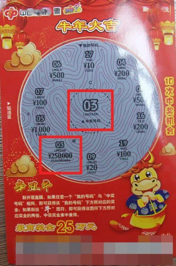 全年王中王資料一肖中特，深度解析與探索，全年王中王資料解析，一肖中特深度探索與解析