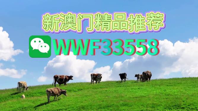 揭秘今晚9點(diǎn)30生肖運(yùn)勢(shì)，你的生肖運(yùn)勢(shì)如何？，揭秘今晚9點(diǎn)30生肖運(yùn)勢(shì)，你的生肖運(yùn)勢(shì)走向如何？