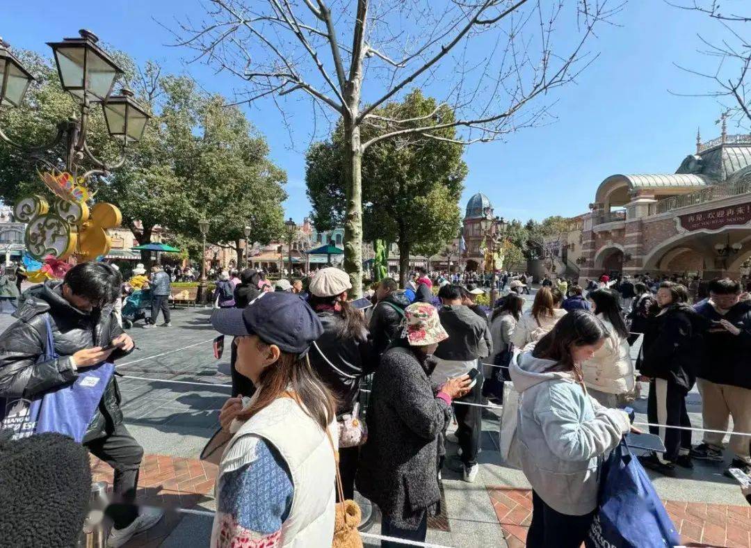 關(guān)于迪士尼上海倒閉的真相探討與深度解析，迪士尼上海倒閉真相深度探討與解析