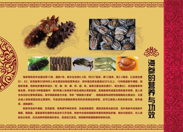 海參的功效，海洋之寶賦予的強(qiáng)大能量，海參的神奇功效，海洋之寶帶來的強(qiáng)大能量