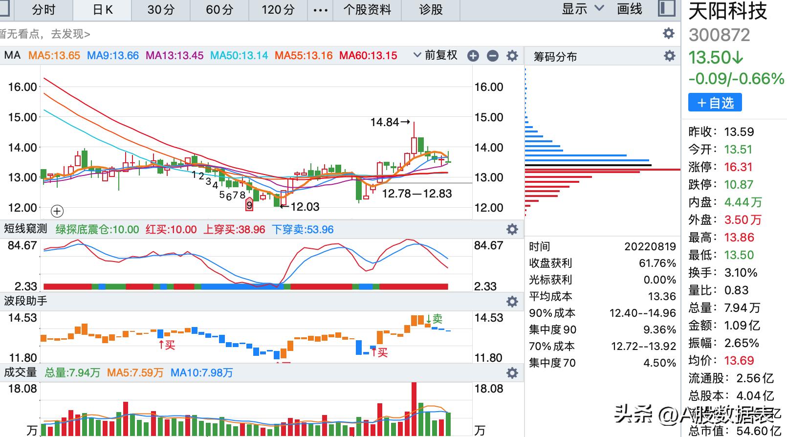 天陽(yáng)科技股票，探索前沿科技，洞悉投資機(jī)遇，天陽(yáng)科技股票，探索前沿科技，把握投資機(jī)遇