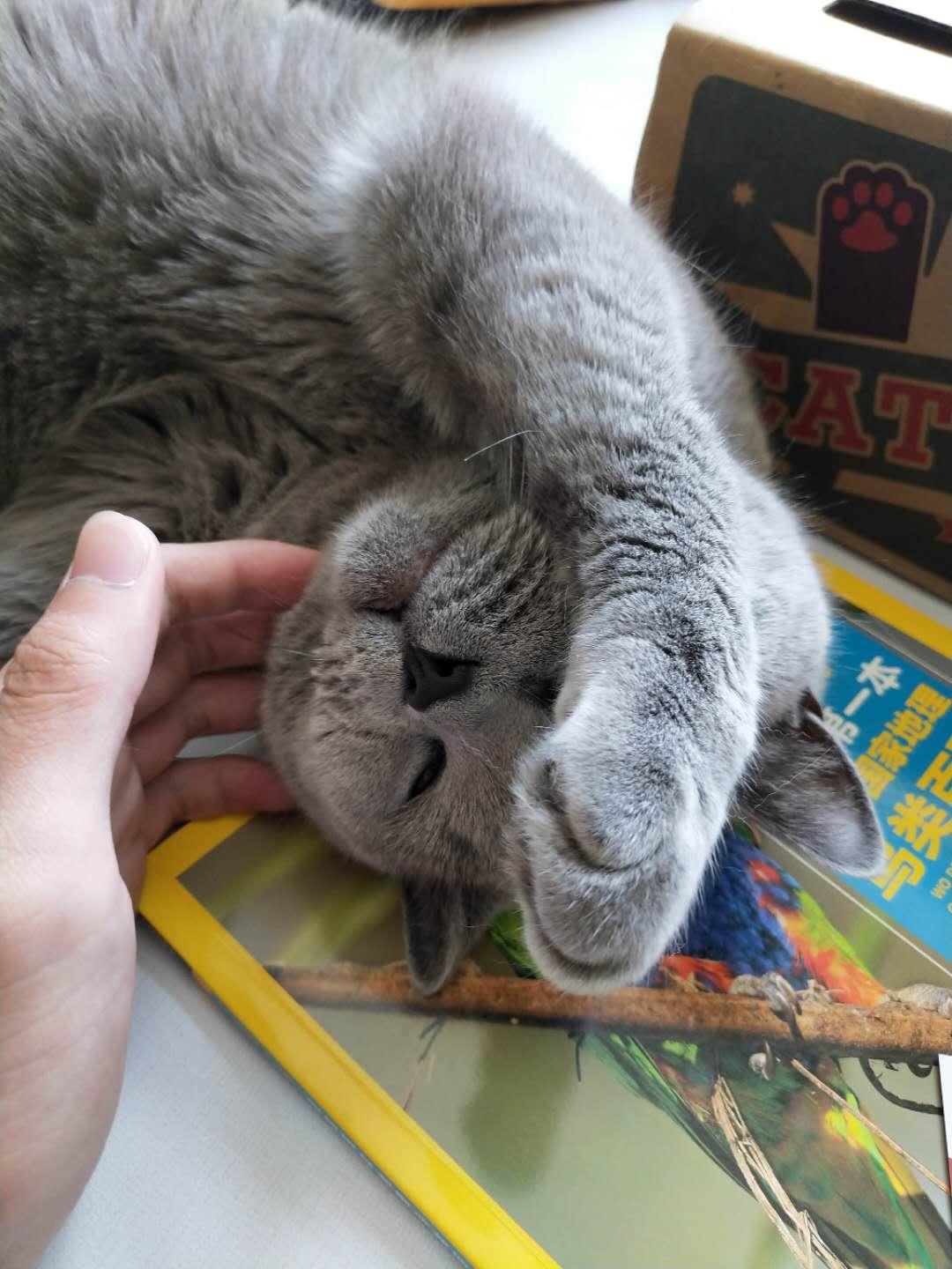 解決打呼嚕只需一杯水？真相揭秘與實(shí)用建議，解決打呼嚕只需一杯水？真相揭秘與實(shí)用方法總結(jié)