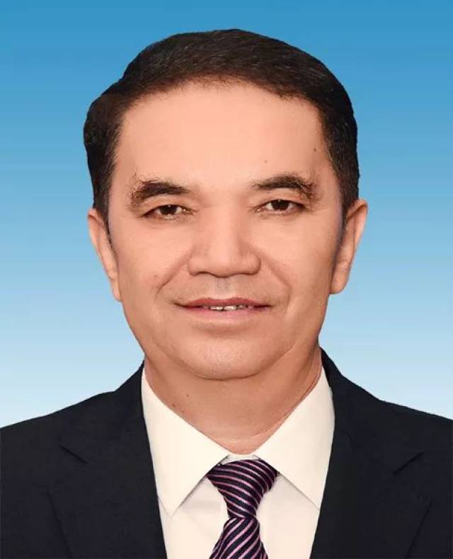 現(xiàn)任最年輕國家副主席——青春的力量與未來的希望，青春力量閃耀未來，國家副主席的嶄新希望之路