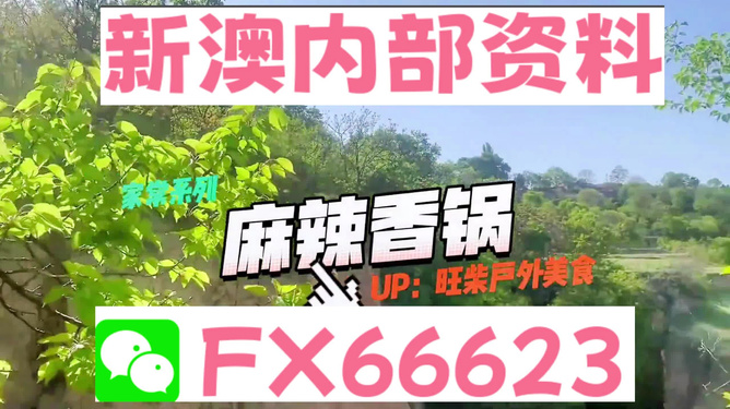 新澳精準(zhǔn)資料免費(fèi)提供，探索與解讀，新澳精準(zhǔn)資料解讀與探索，免費(fèi)分享揭秘