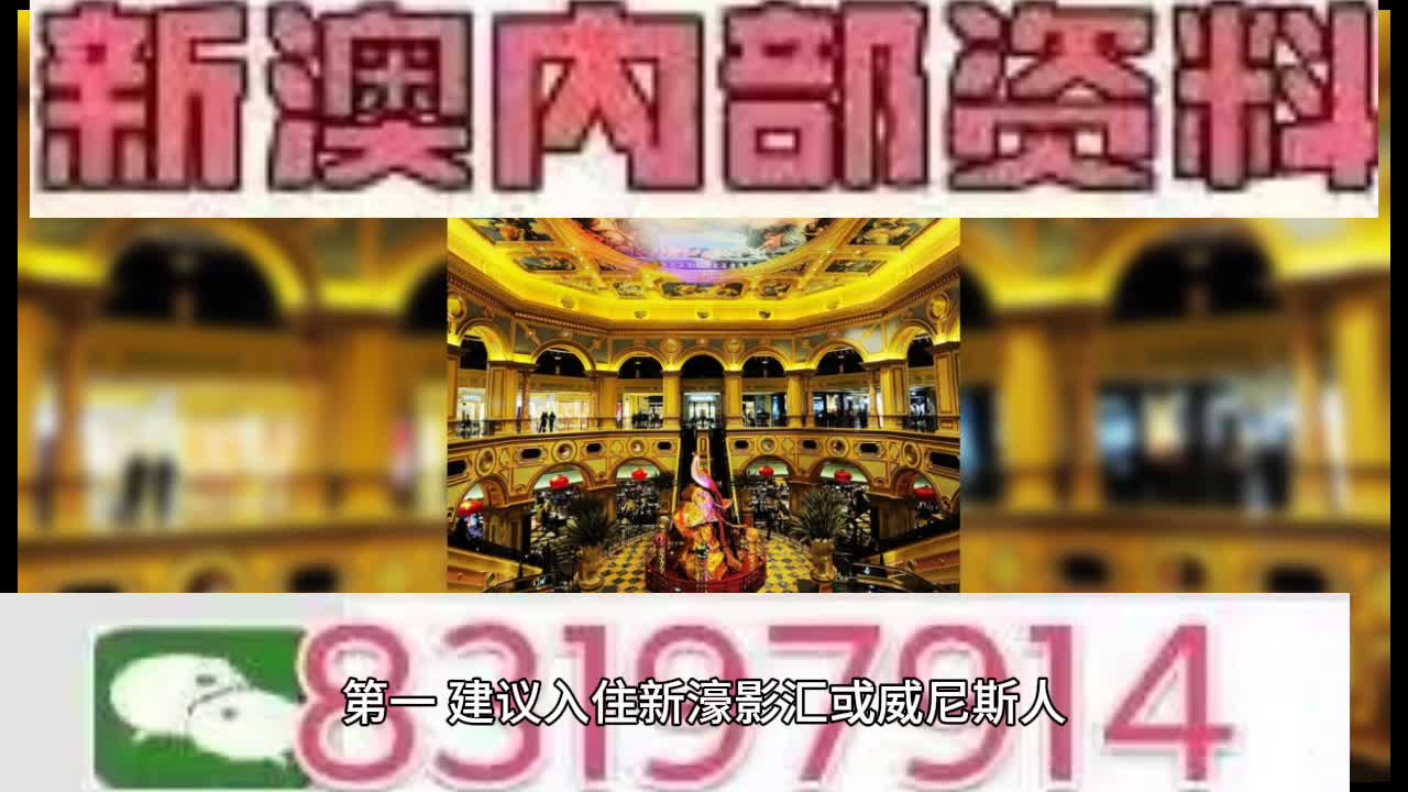 新澳門內部10碼，探索與解析，澳門內部新探秘，揭秘十碼奧秘