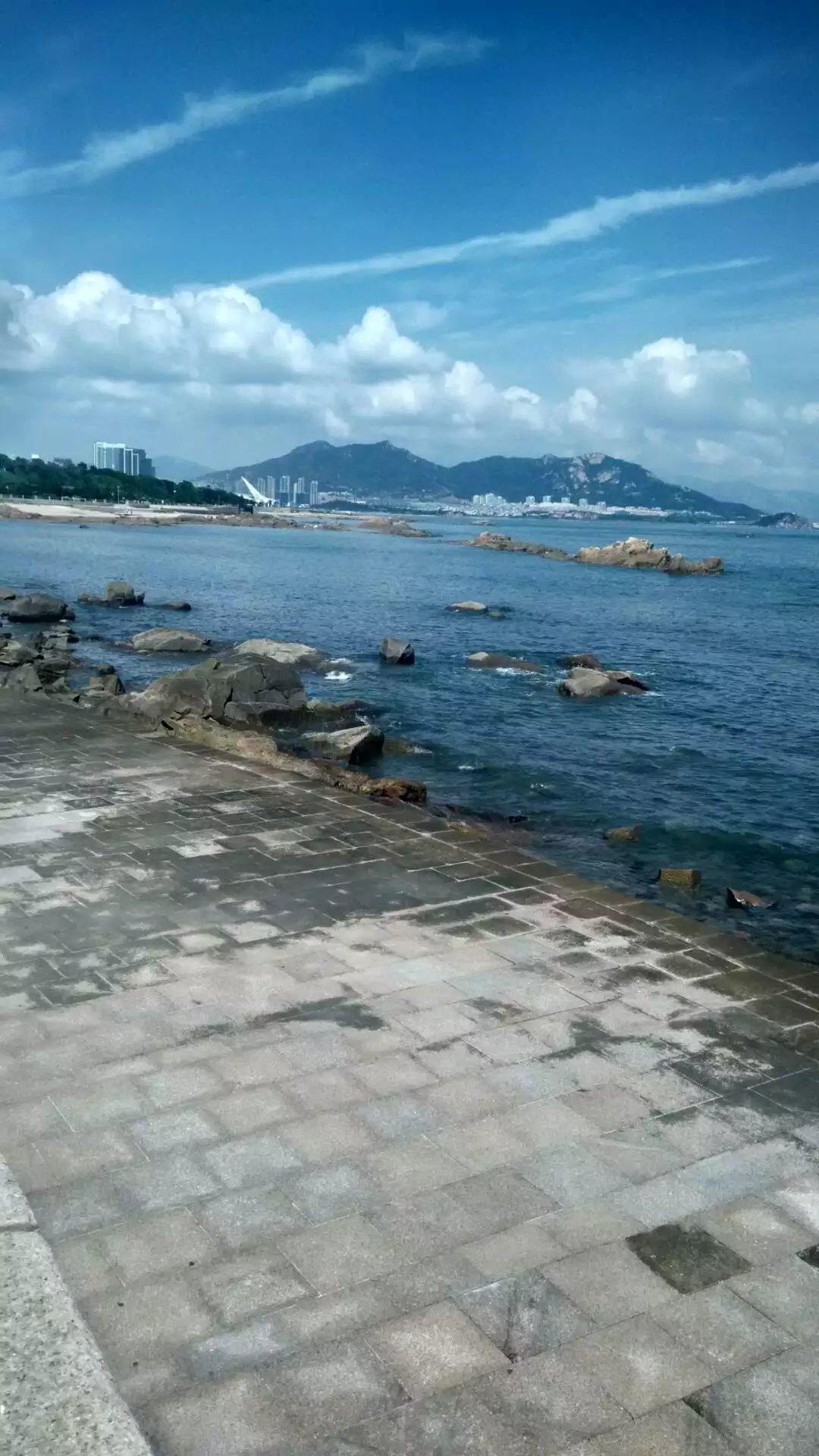 青島極地海洋世界門票免費(fèi)嗎？——深度解析與攻略，青島極地海洋世界門票免費(fèi)政策解析及游玩攻略