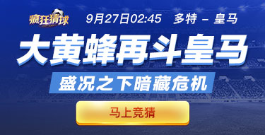 新奧開獎結(jié)果查詢指南，輕松掌握查詢方法，新奧開獎結(jié)果查詢指南，輕松掌握查詢方法與技巧