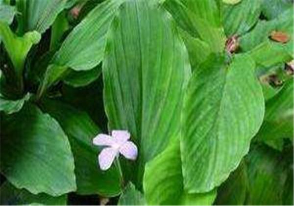 牙痛不止？嘗試這十秒止疼法，輕松緩解不適，十秒止疼法，輕松緩解牙痛不適