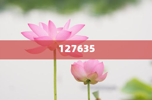 探索全新精準(zhǔn)傳真服務(wù)，7777788888新精準(zhǔn)傳真解析，全新精準(zhǔn)傳真服務(wù)解析，7777788888傳真新體驗(yàn)