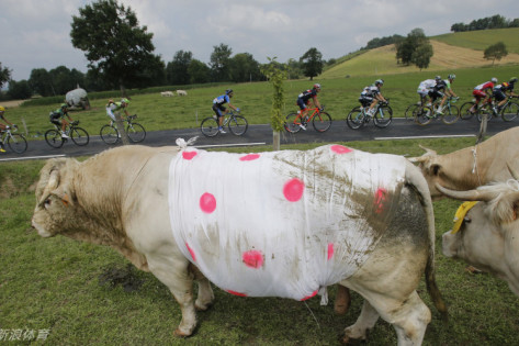 王中王三肖一碼免費(fèi)公開(kāi)，揭秘背后的秘密與真相，揭秘王中王三肖一碼，真相與背后的秘密免費(fèi)公開(kāi)揭露