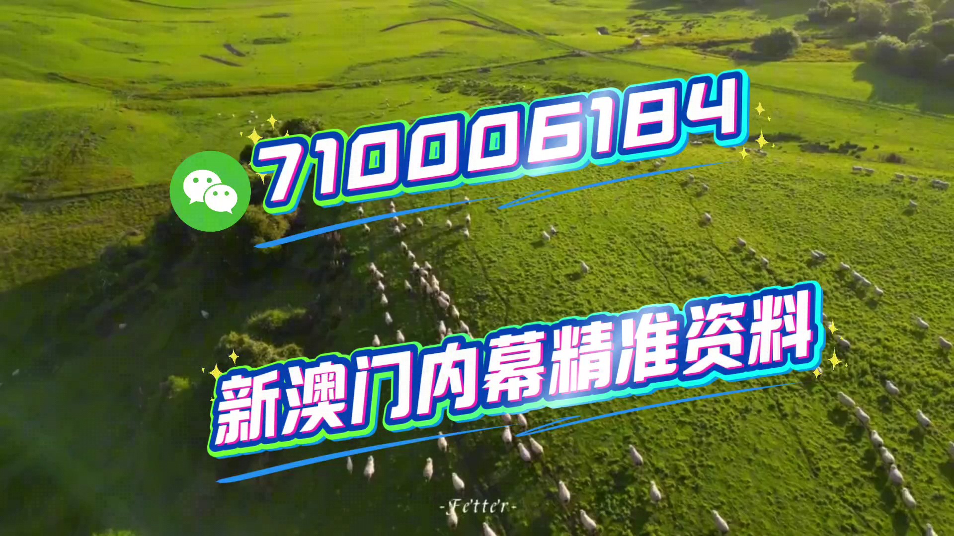 關(guān)于澳門今晚特馬生肖的預(yù)測與探討——以2025年為視角，澳門生肖預(yù)測，以2025年為視角探討今晚特馬生肖預(yù)測