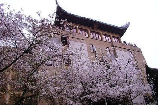 武漢景點(diǎn)排名，探尋歷史文化名城的不朽魅力，武漢景點(diǎn)排名揭秘，歷史文化名城的魅力之旅