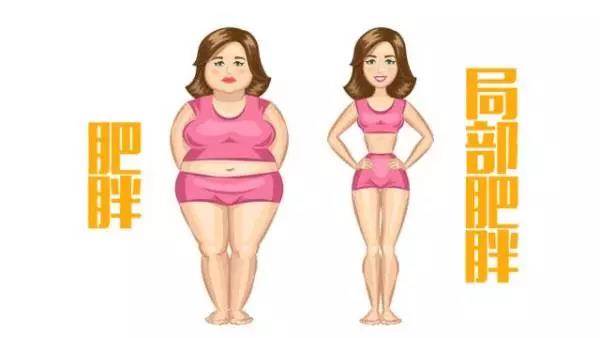 抽全身脂肪的價(jià)格因素與全面解析，全身脂肪抽取價(jià)格因素解析及全面解讀