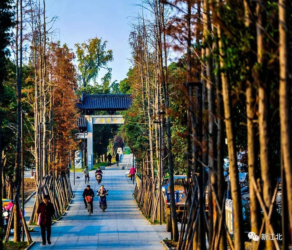 熱點(diǎn) 第138頁