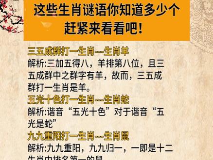 謎語王中王打一生肖——揭秘背后的神秘故事與生肖之謎，揭秘生肖之謎，謎語王中王背后的神秘故事與生肖解密