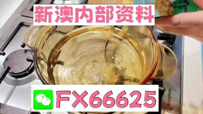新澳一碼料，深度解析與SEO優(yōu)化策略，新澳一碼料深度解析與SEO優(yōu)化策略指南
