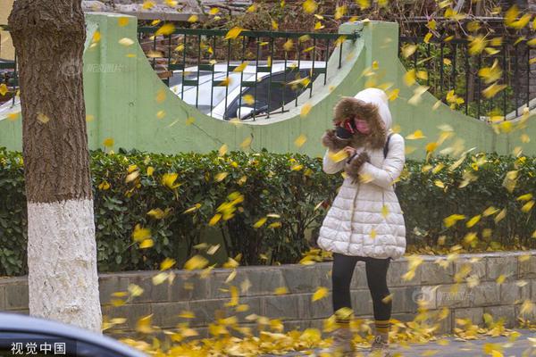 澳門開獎最快的資料網(wǎng)站，探索優(yōu)勢與秘密，澳門開獎資料探索，優(yōu)勢與秘密揭秘