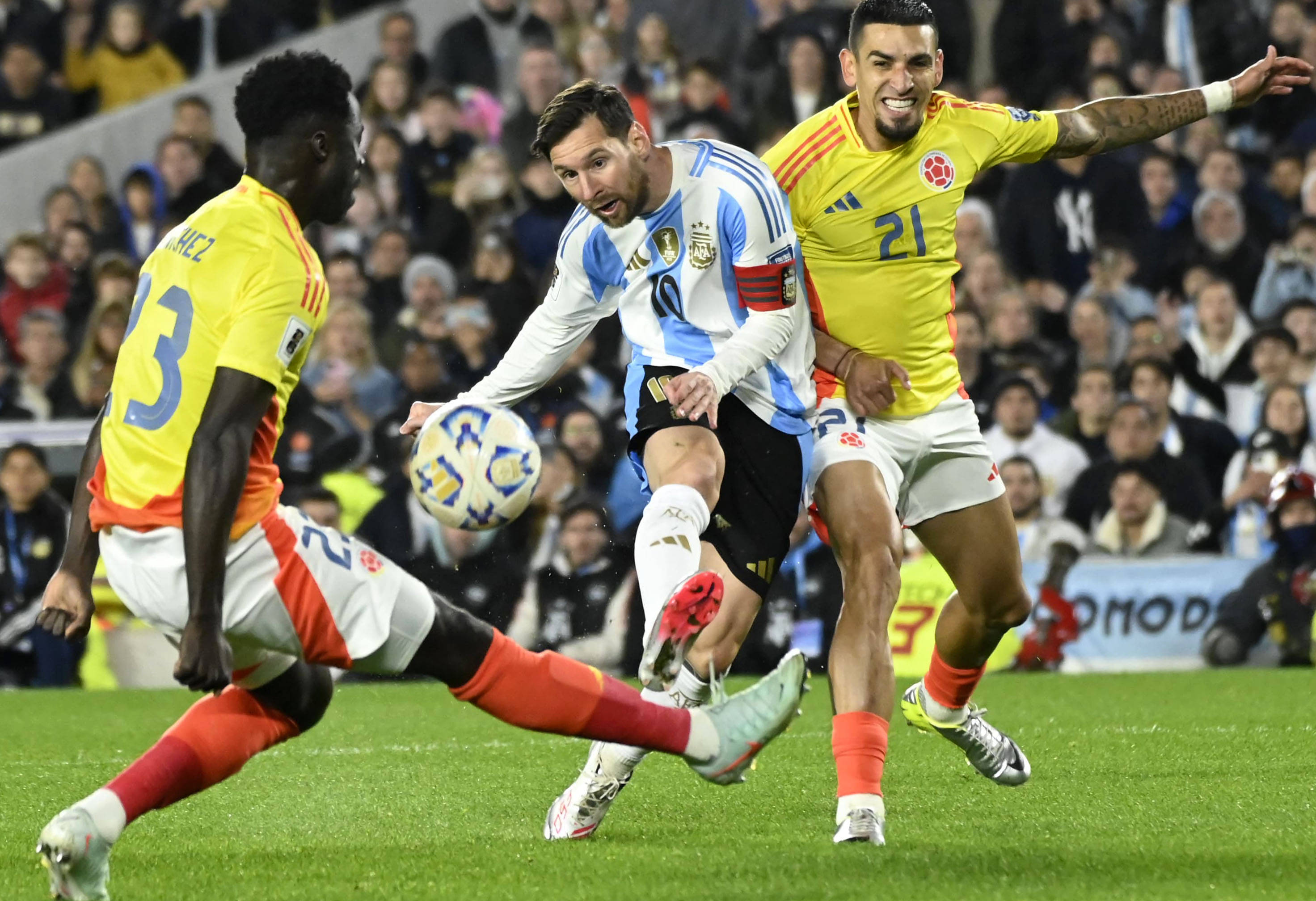 王中王077期一肖特種，深度解析與SEO優(yōu)化策略，王中王077期生肖特種深度解析與SEO優(yōu)化策略探討