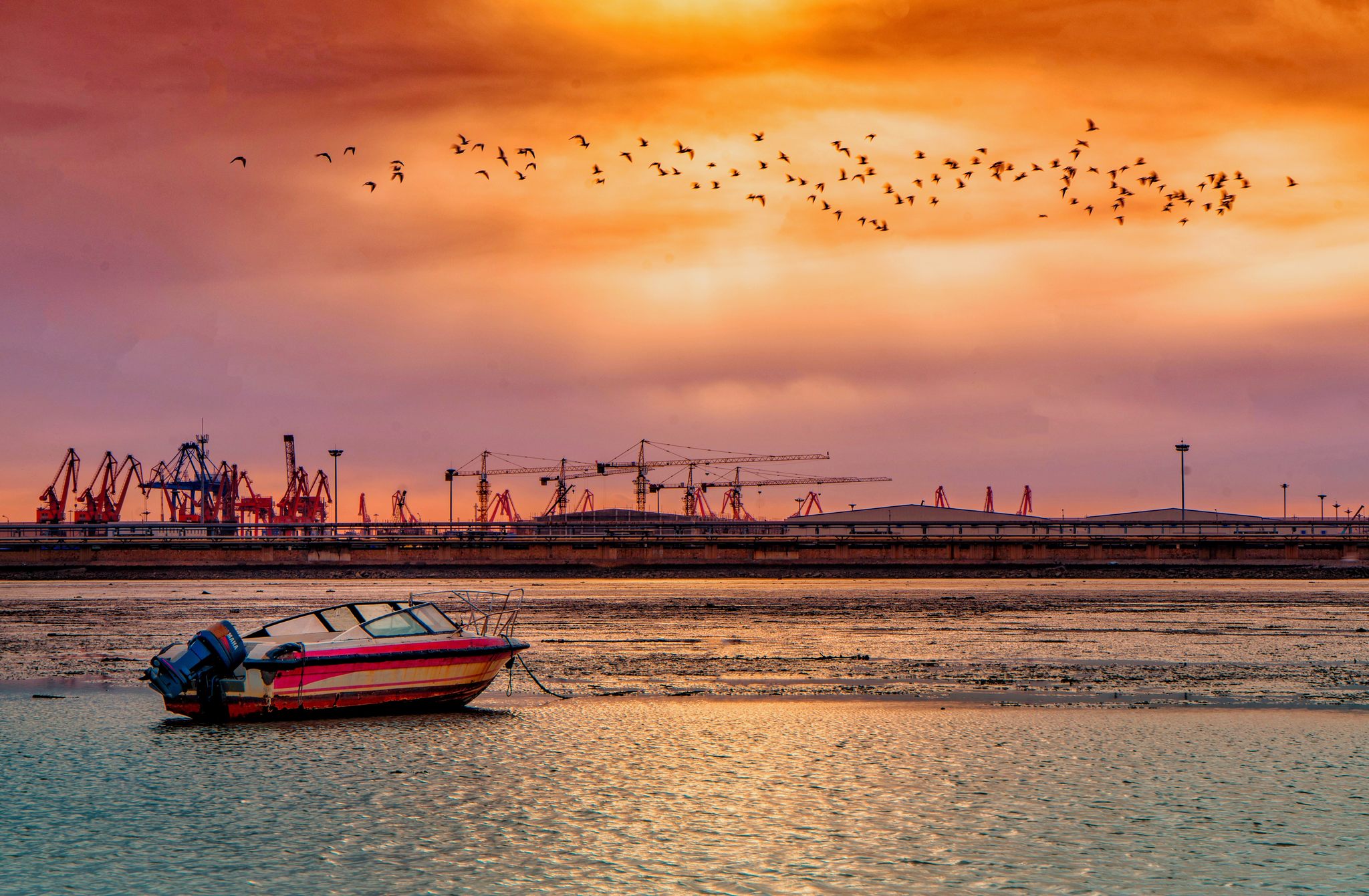 錦州港，繁榮的海洋門戶與區(qū)域物流樞紐，錦州港，繁榮海洋門戶與物流樞紐
