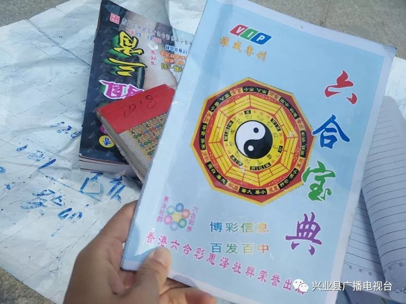 六盒寶典資料免費(fèi)大全下載指南，六盒寶典資料免費(fèi)下載大全指南