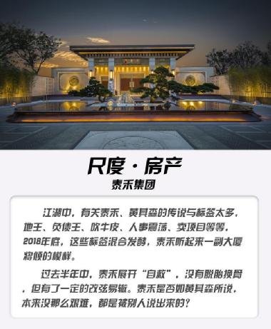 泰禾集團股吧，深度解析與前景展望，泰禾集團股吧，深度解析及前景展望