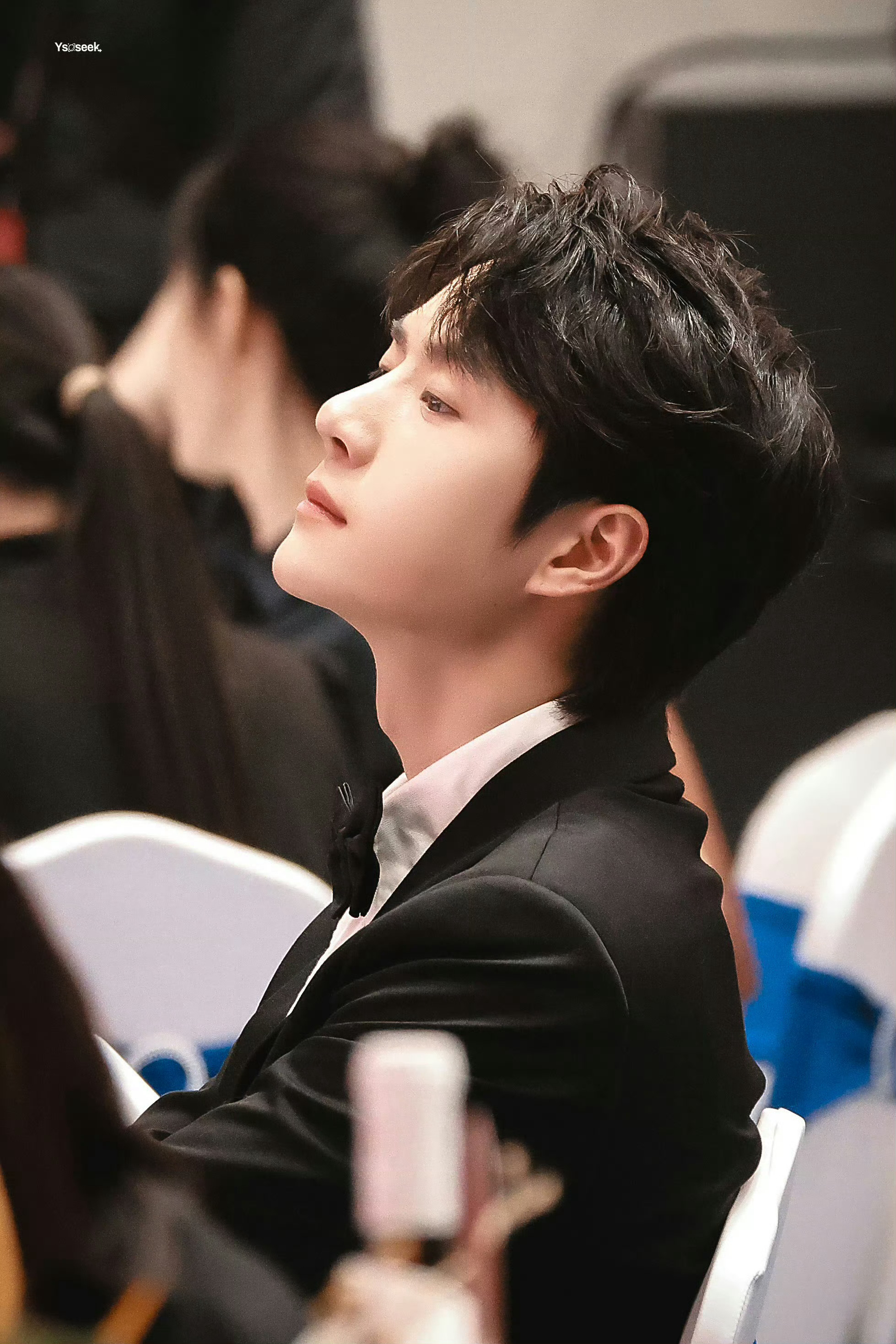 王中王一肖中特鐵算子，揭秘背后的秘密與策略，揭秘王中王一肖中特鐵算子的秘密與策略