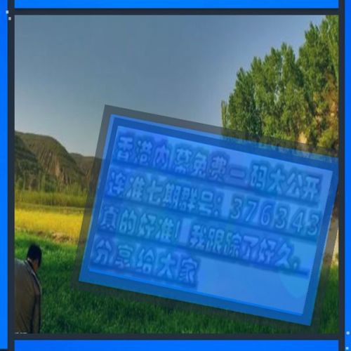 澳門三肖三碼必開一期，揭秘背后的秘密與策略，澳門三肖三碼必開一期揭秘，秘密與策略揭秘