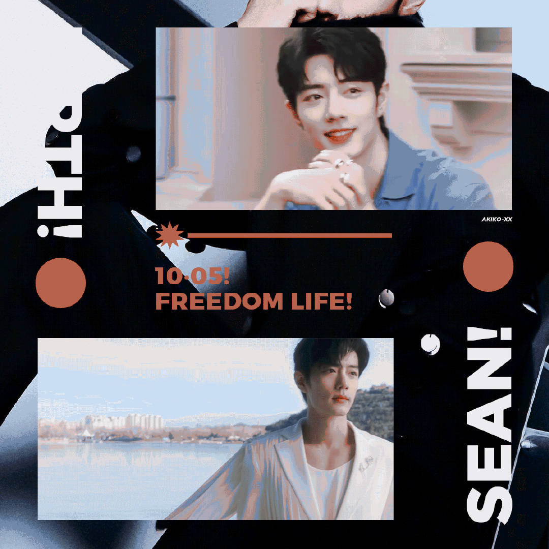 一肖一碼一一肖一子，揭秘生肖與數(shù)字之間的神秘聯(lián)系，揭秘生肖與數(shù)字之間的神秘關(guān)聯(lián)，一肖一碼一與子相連的秘密