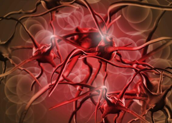 高血脂的五個表現(xiàn)癥狀及其重要性，了解、預防與治療，高血脂的五大表現(xiàn)癥狀，認識、預防與治療的重要性