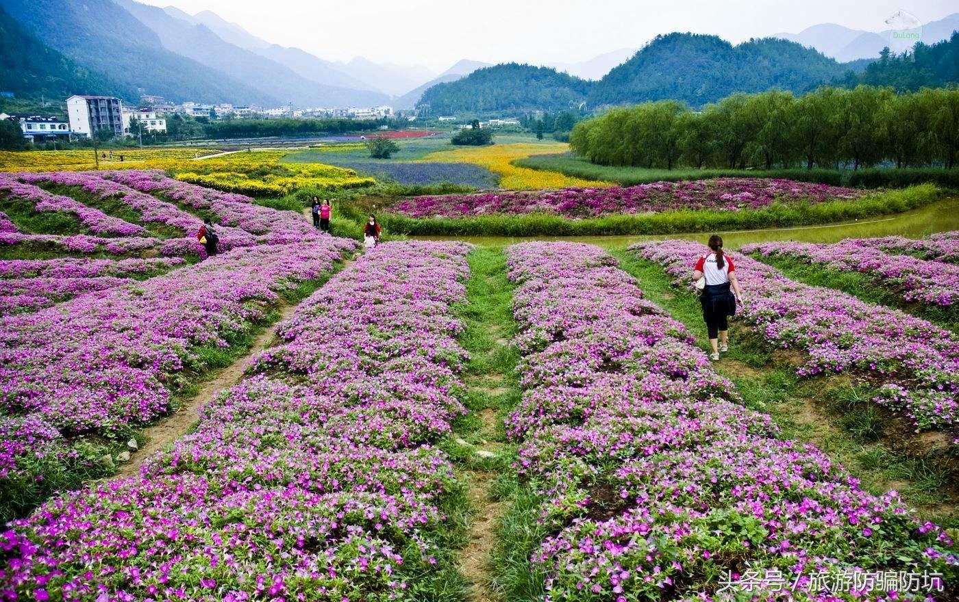 去重慶旅游攻略及費用要多少，重慶旅游攻略及預算全解析