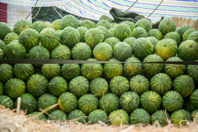 澳門一碼一肖預(yù)測，揭秘真相與風(fēng)險應(yīng)對，澳門一碼一肖預(yù)測揭秘，真相探索與風(fēng)險應(yīng)對策略