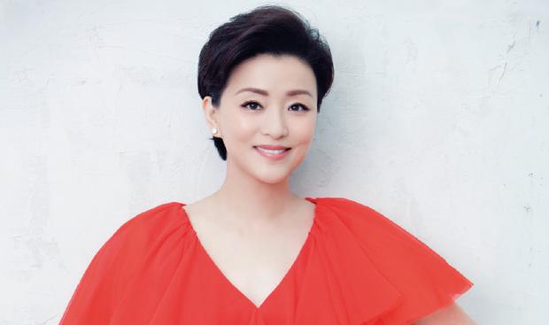 江蘇陽光股份股票，深度解析與前景展望，江蘇陽光股份股票深度解析及未來前景展望