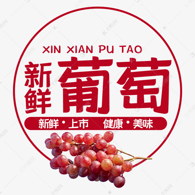 王中王葡萄新平特一肖，探尋葡萄的奧秘與特色，探尋葡萄奧秘，品味王中王葡萄特色