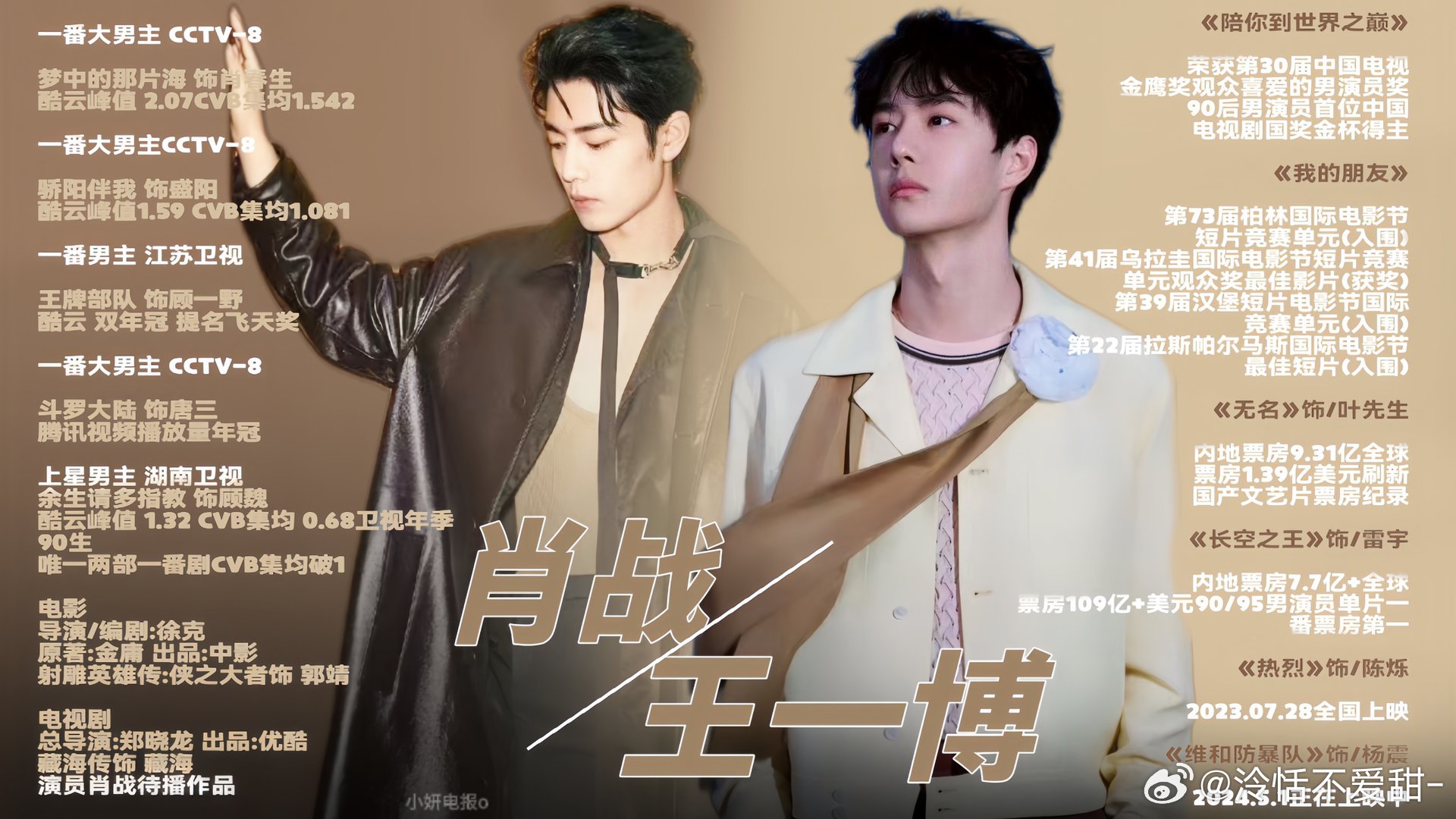 王中王一肖精準(zhǔn)資料，深度解析與探索，王中王一肖資料深度解析與探索，精準(zhǔn)資料揭秘