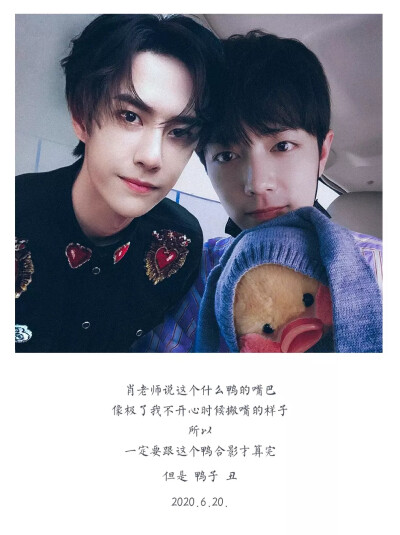 王中王一肖中特其其準(zhǔn)——探尋精準(zhǔn)預(yù)測的魅力，精準(zhǔn)預(yù)測的魅力，王中王一肖中特其其準(zhǔn)的探尋