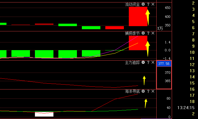 關(guān)于股票300175的全面解析，股票300175全面解析，深度剖析與預測