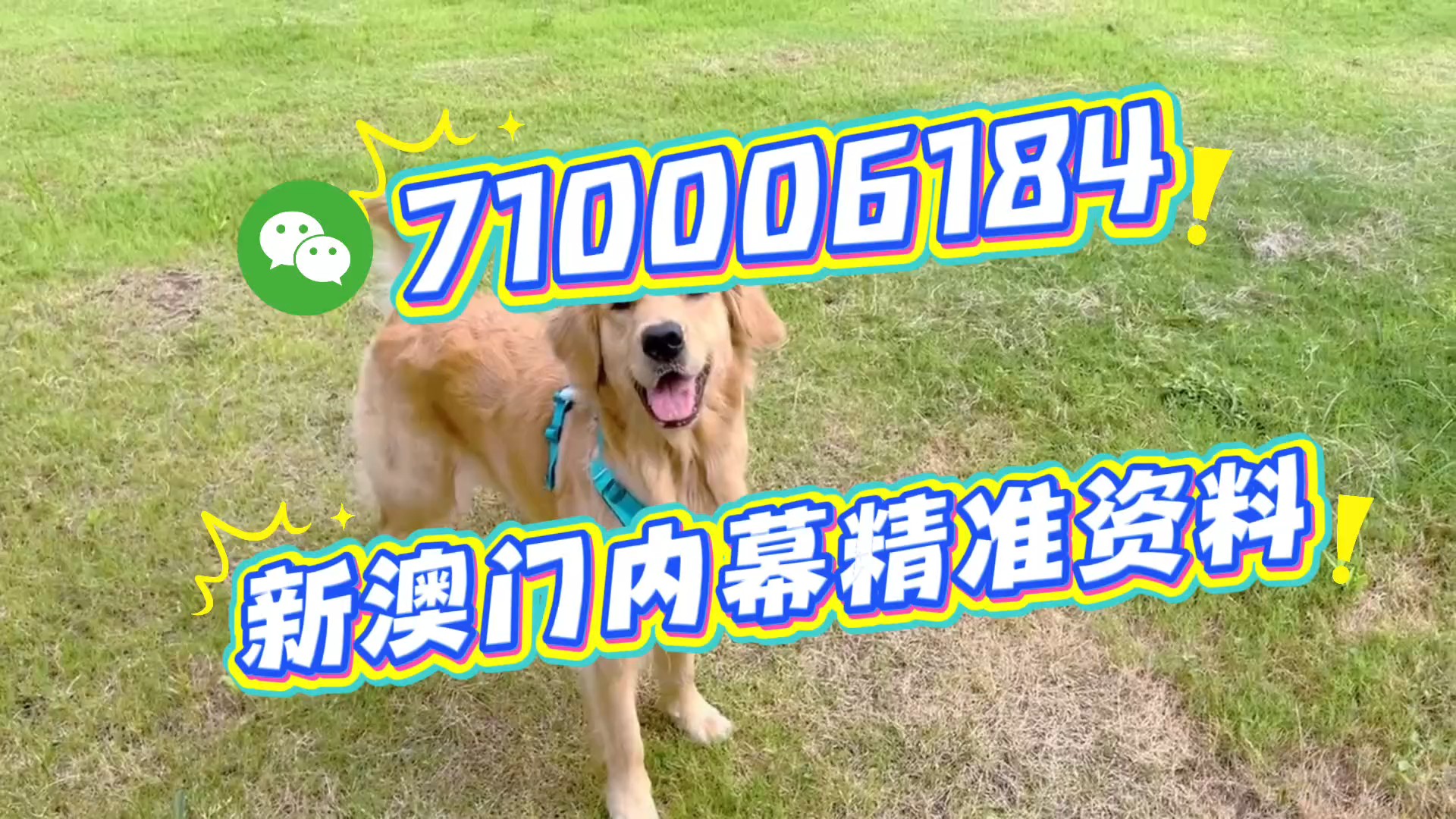 澳門(mén)一肖一碼期期準(zhǔn)，揭秘精準(zhǔn)預(yù)測(cè)的秘密，澳門(mén)精準(zhǔn)預(yù)測(cè)一肖一碼揭秘，期期準(zhǔn)確的秘密探究