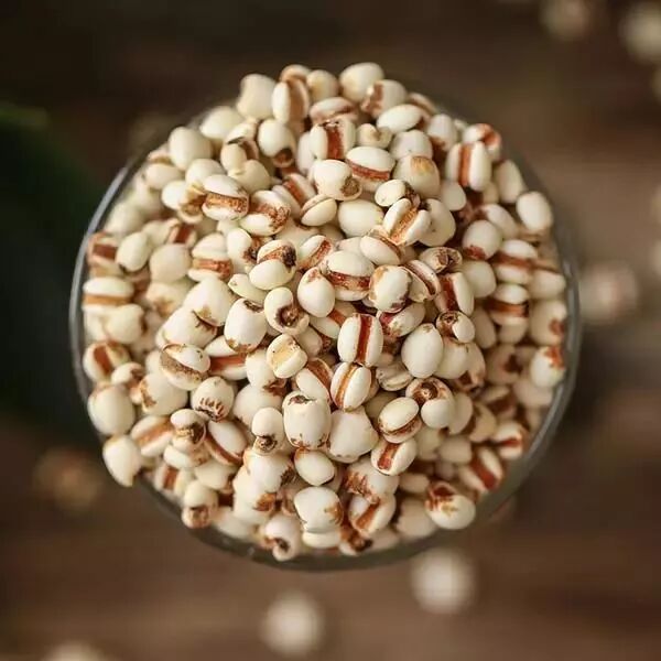 薏米，一種健康寶藏的神奇谷物，薏米，健康寶藏的神奇谷物
