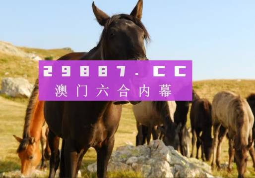 澳門管家婆一肖一碼，揭秘精準(zhǔn)預(yù)測的秘密，澳門管家婆精準(zhǔn)預(yù)測揭秘，一肖一碼的秘密