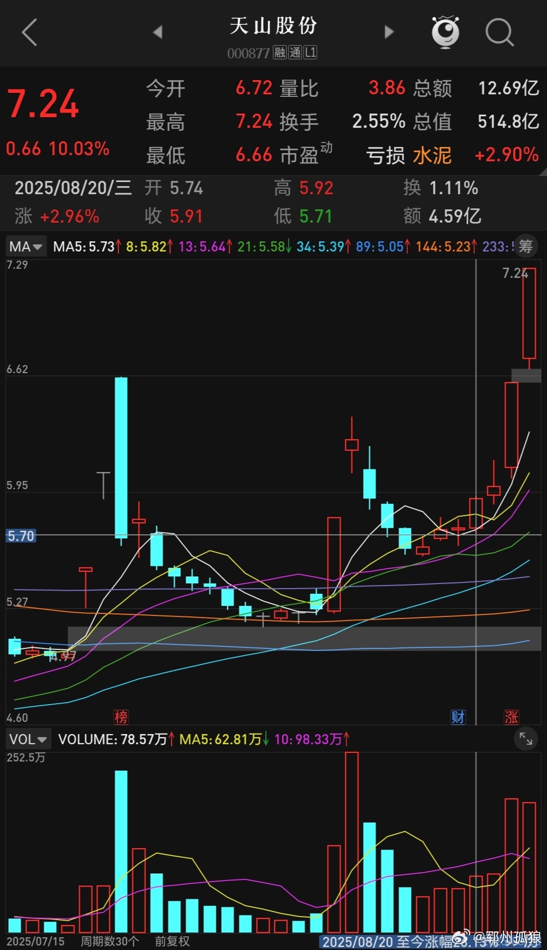 天山股份重組最新消息，企業(yè)轉(zhuǎn)型與未來發(fā)展的展望，天山股份重組最新動(dòng)態(tài)，企業(yè)轉(zhuǎn)型展望與未來發(fā)展路徑
