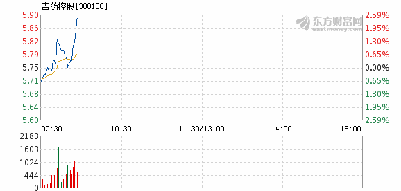 吉藥控股股票，深度解析與前景展望，吉藥控股股票深度解析及前景展望