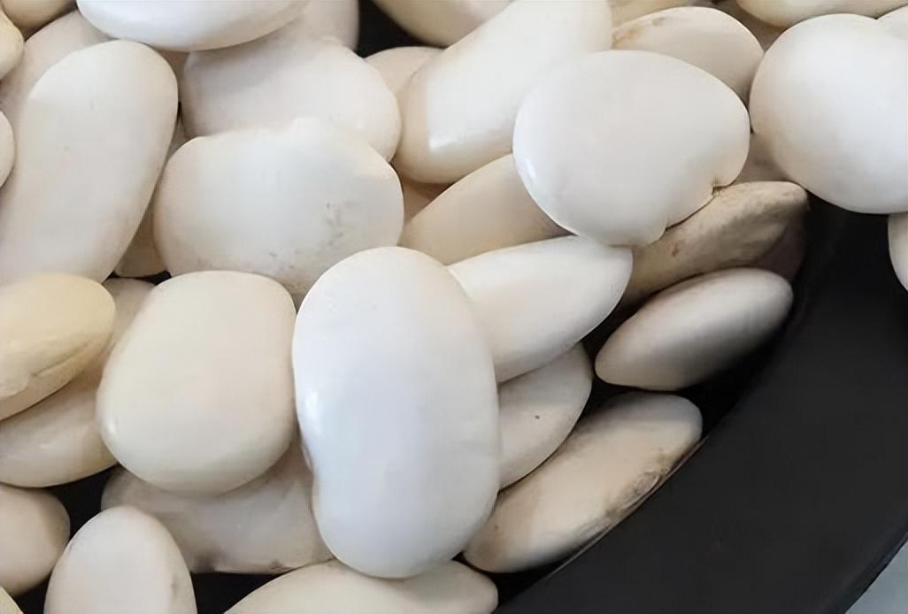 養(yǎng)胃又治胃病的食物，呵護你的胃健康，養(yǎng)胃治胃必備食物，呵護你的胃健康之道