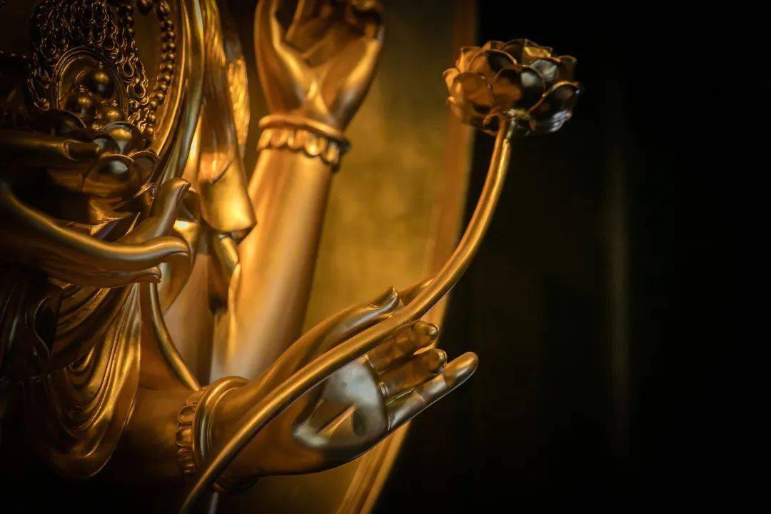 探索欲佛H的世界，神秘魅力的深度解析，欲佛H的世界探索，神秘魅力的深度解讀