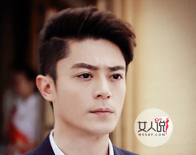 霍建華個人資料及年齡揭秘，霍建華個人資料、年齡大揭秘